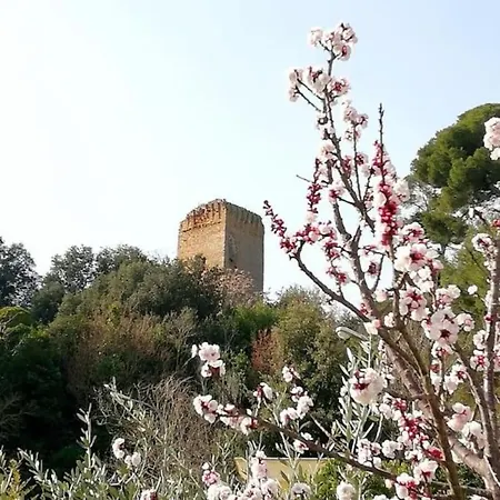 別荘 Casa Vacanze Oasi La Torre